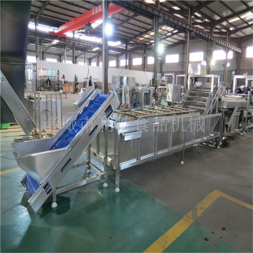 定制大棗清洗成套設備源頭好貨解析——以諸城利特機械公司為例